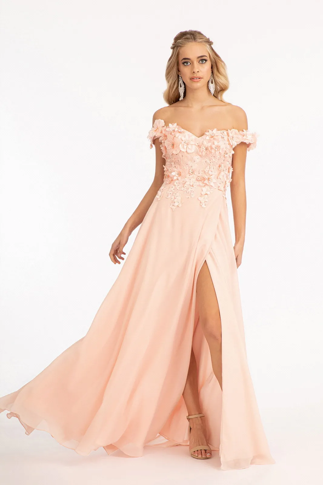 Floral 3D Applique and Embroidery Embellished Bodice A-Line Chiffon Long Prom Dress GLGL3018