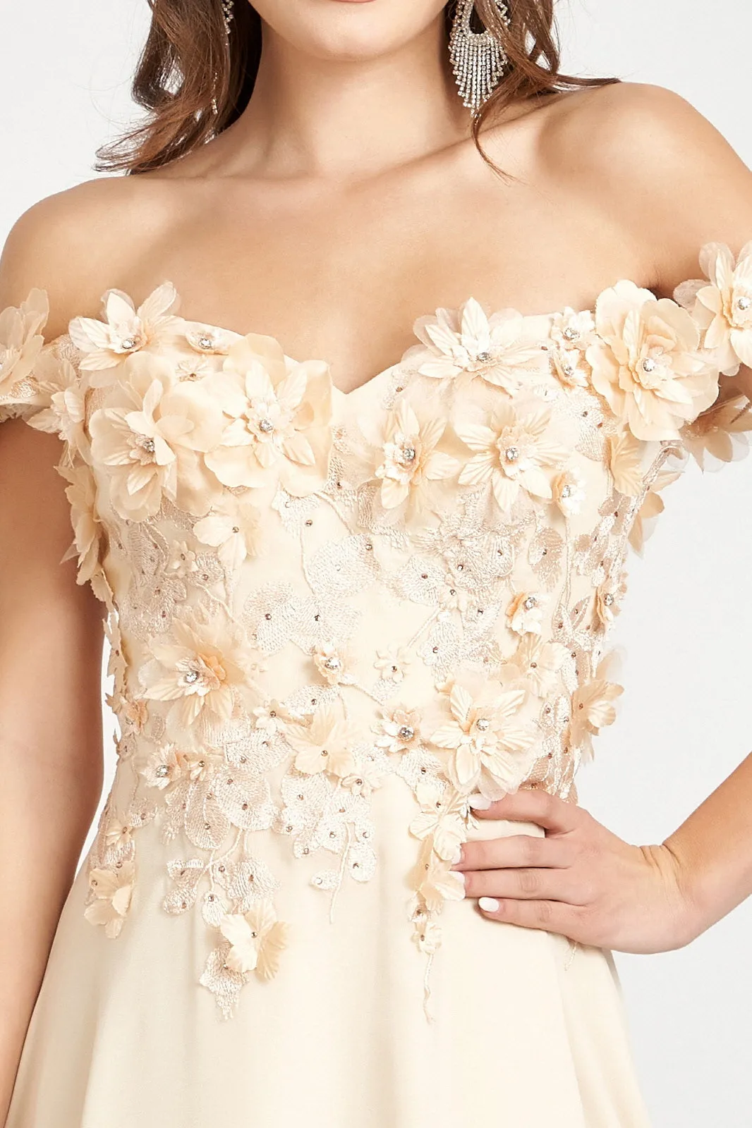 Floral 3D Applique and Embroidery Embellished Bodice A-Line Chiffon Long Prom Dress GLGL3018