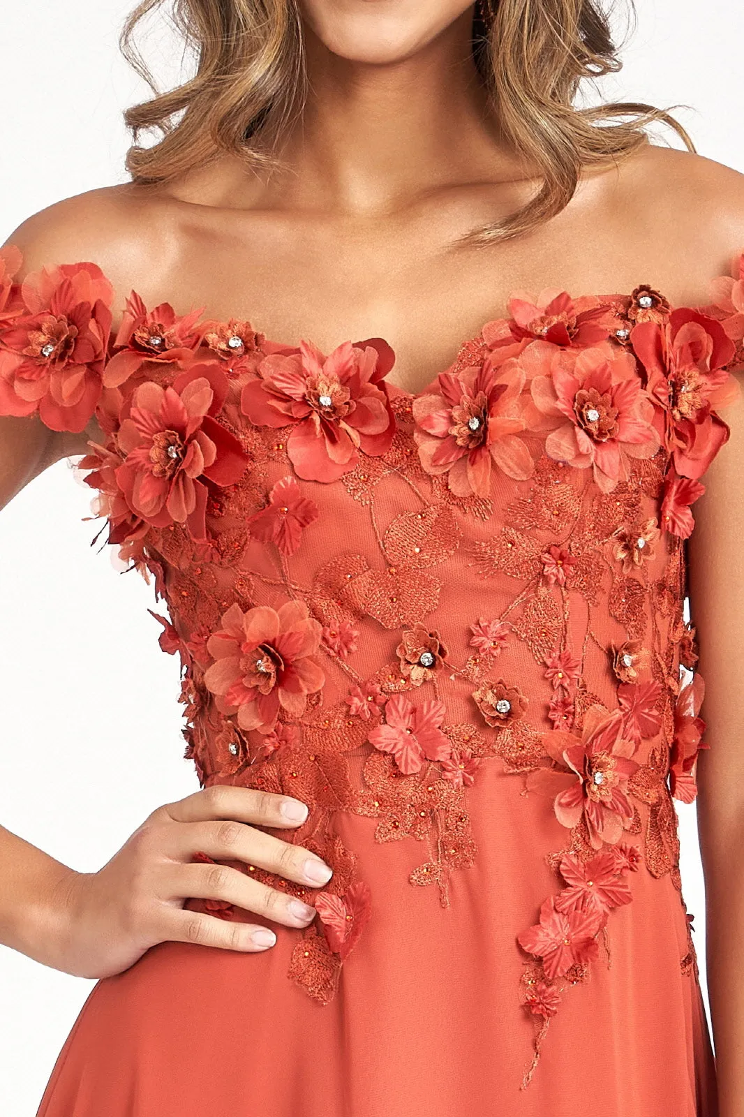 Floral 3D Applique and Embroidery Embellished Bodice A-Line Chiffon Long Prom Dress GLGL3018