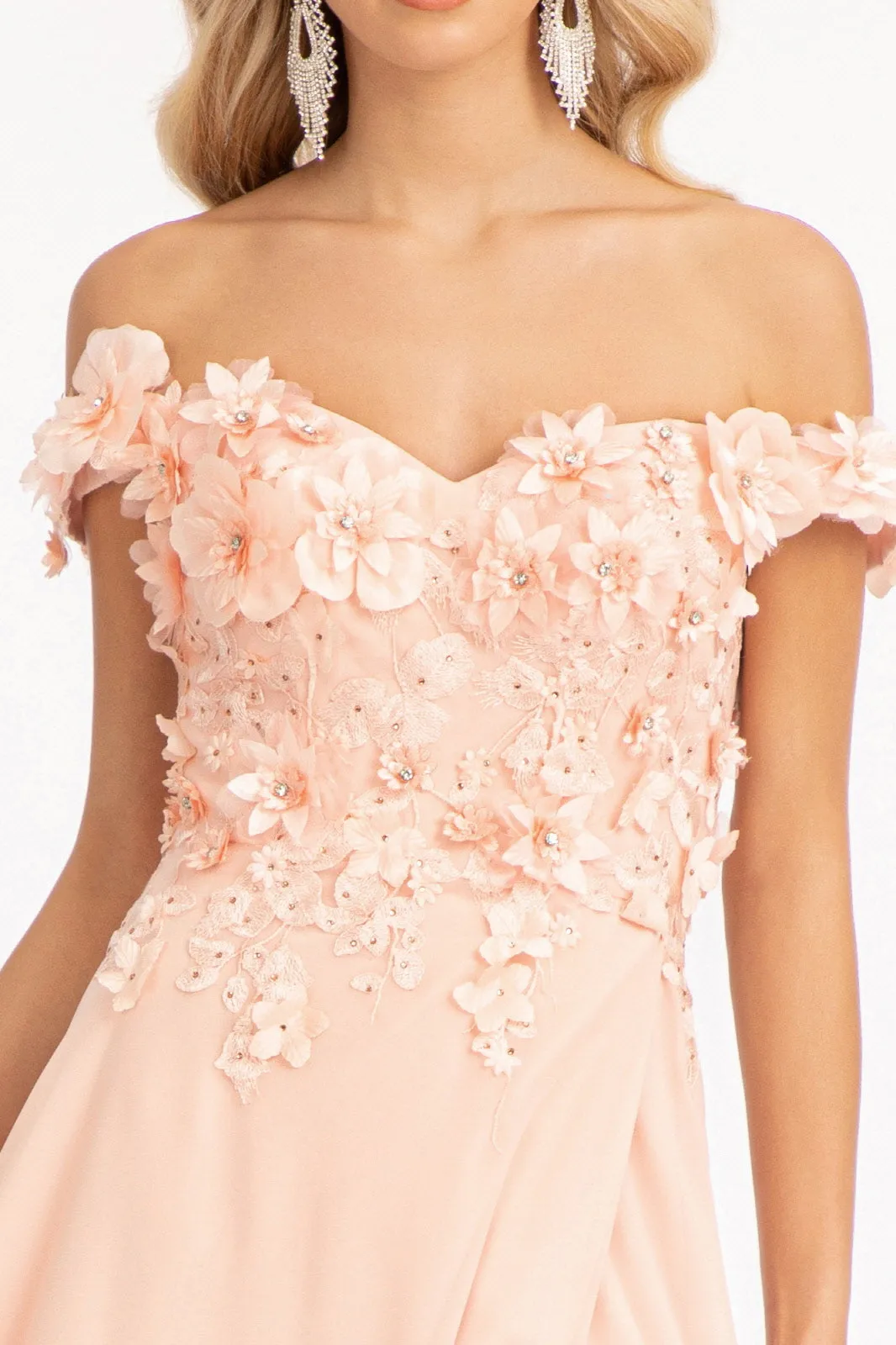 Floral 3D Applique and Embroidery Embellished Bodice A-Line Chiffon Long Prom Dress GLGL3018
