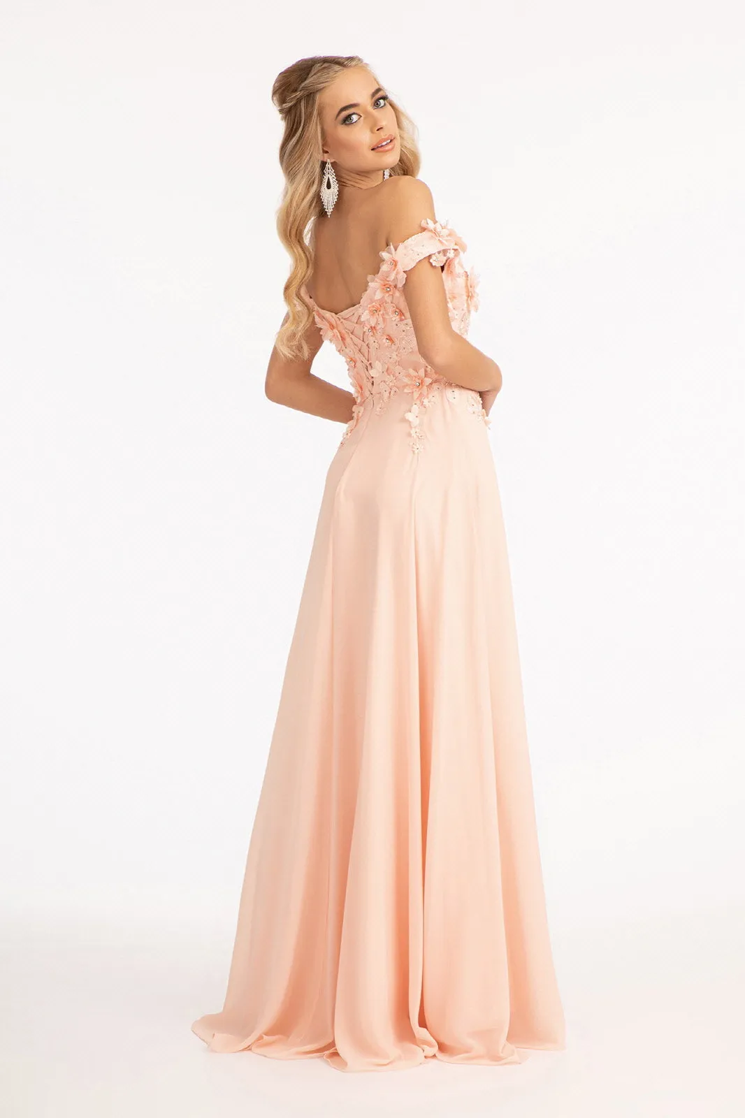 Floral 3D Applique and Embroidery Embellished Bodice A-Line Chiffon Long Prom Dress GLGL3018