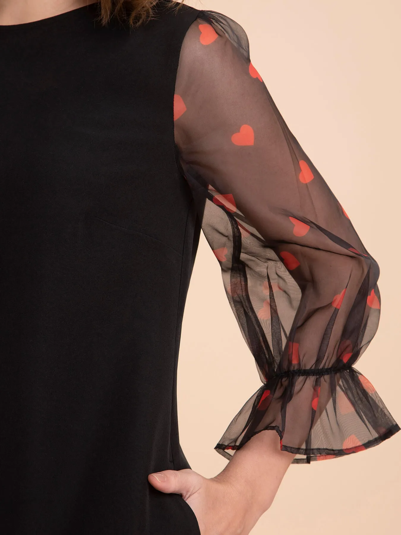 Organza Ruffle Sleeves Dress - Black